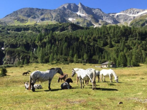  Gasthaus Maislau  Раурис